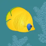 ReefDoser icon