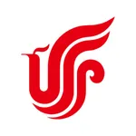 Air China icon