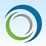 Impact Network icon