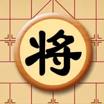 宽立象棋 icon