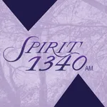 Spirit 1340 icon