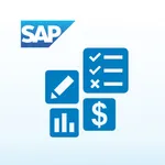 SAP Business One icon