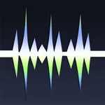 WavePad Music and Audio Editor icon