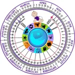 Pregnancy Wheel HD icon