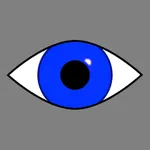 Visuallusion icon