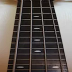 Bass Fretboard Addict icon