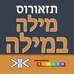 מילה במילה - אוצר המילים הנרדפות ‫(תזאורוס)‬ icon