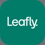 Leafly: Find Weed Near You icon