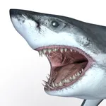 Talking Great White : My Pet Shark icon