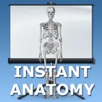 Anatomy Topics in Focus icon