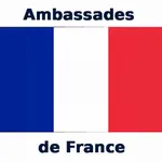 French Embassies icon