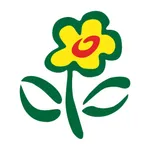 FloraPrima Blumenversand icon