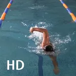 Swim Coach Plus HD icon