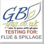 GB Gas Flue & Spillage testing icon