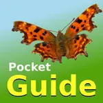 Pocket Guide UK Butterflies icon