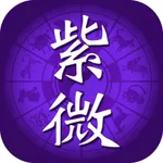 紫微斗數排盤 icon