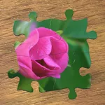True Jigsaw icon