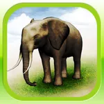 REAL ANIMALS HD icon