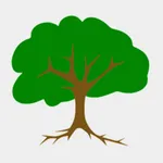 Pro Football Coaching Tree icon