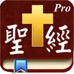 Handy Bible Chinese Pro 隨手讀聖經 icon