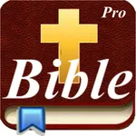 Handy Bible Pro icon