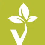 Yoga Tree icon