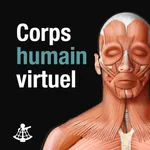 Corps humain virtuel icon