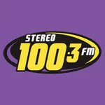 Stereo 100.3 FM icon