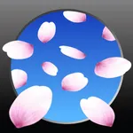 SAKURA Now! - AR Sakura Camera icon