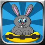 Saving Bunnies -Rescue Mission icon