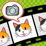 toruneko (KittyCam) icon