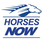 Horses Now icon