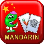 Mandarin Flash Cards icon