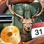 Solunar Calendar - Best Hunting Times and Feeding icon