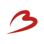 Brussels Airport icon