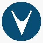 vManager icon