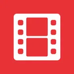 DS video icon