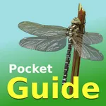 Pocket Guide UK Dragonflies icon