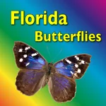 Southern Florida Butterflies icon