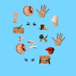 Body Parts - Basic icon