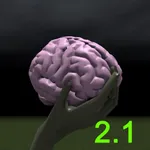 Brain Toss icon