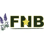 FNB Shiner Mobile icon