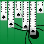 Classic Spider Solitaire Pro icon