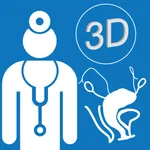 Pelvic Floor 3D icon