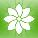 Mindfulness: 2012 (Original) icon