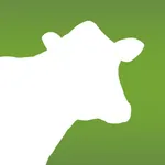 Dairy Health Check icon