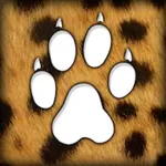 CheetahTrack icon