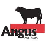 Angus icon