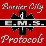 Bossier City Fire Department icon