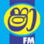 ShaaFM Mobile icon
